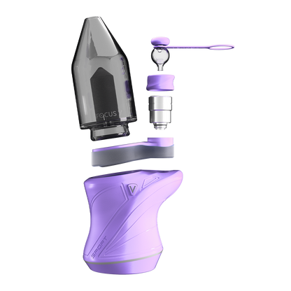 Focus V CARTA SPORT Kit - Lilac